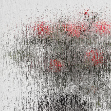 Alside West Coast Mezzo Windows offers Rain glass